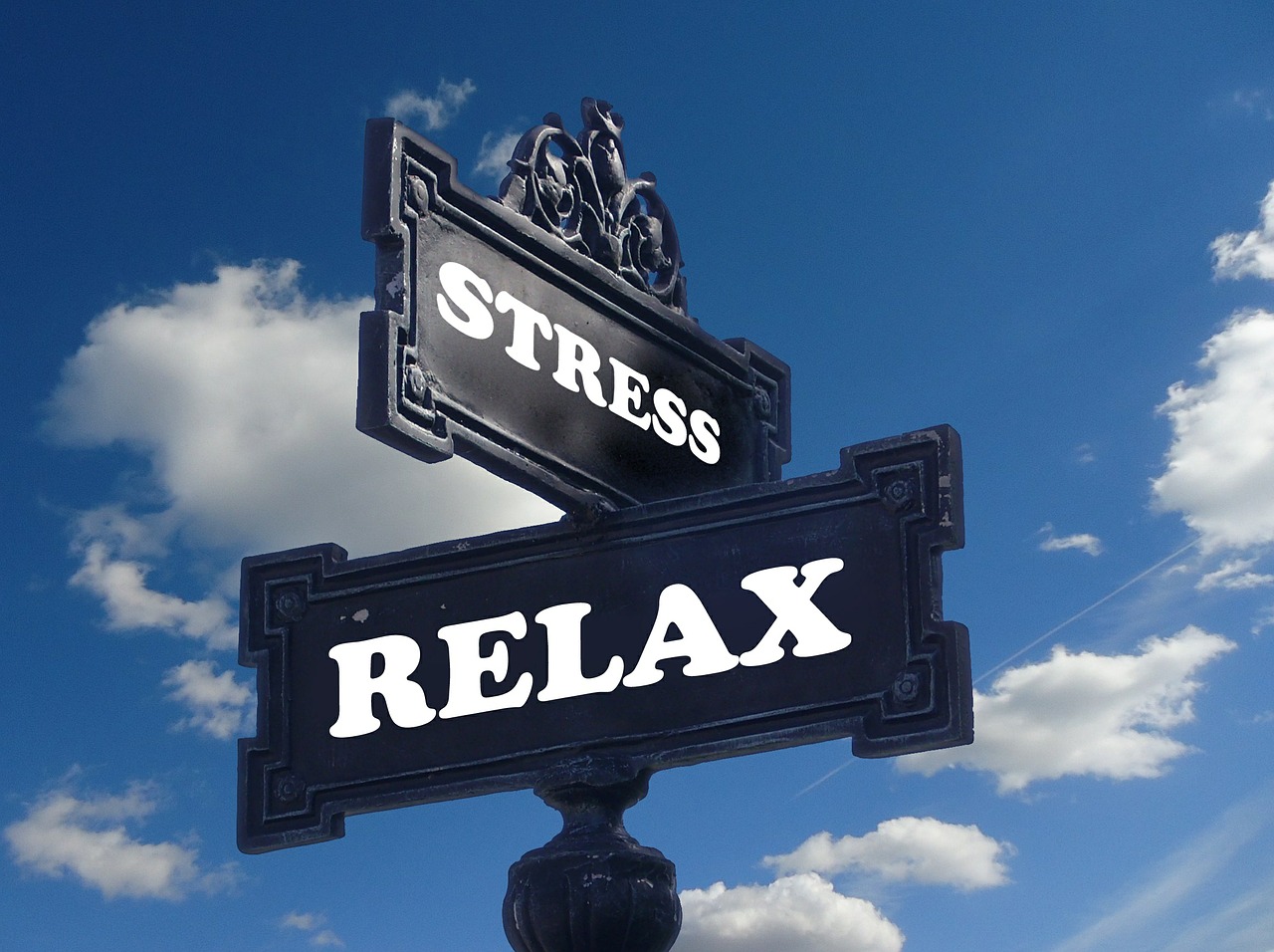 stress, relaxation, relax-391657.jpg